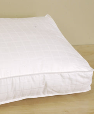 Carpenter Beyond Down