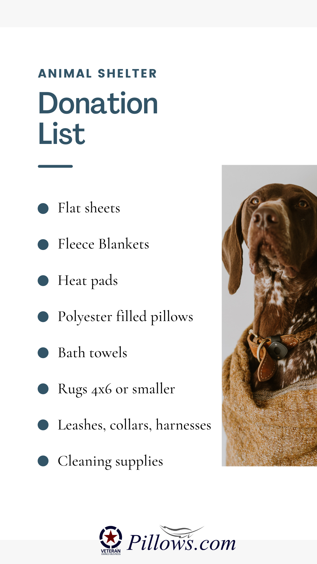 bedding donation items for pet shelters